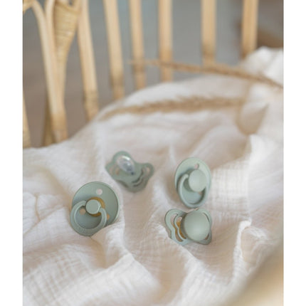 BIBS Speen Maat 1 Testpakket Sage - BIBS - Babywinkel - 5713795222896