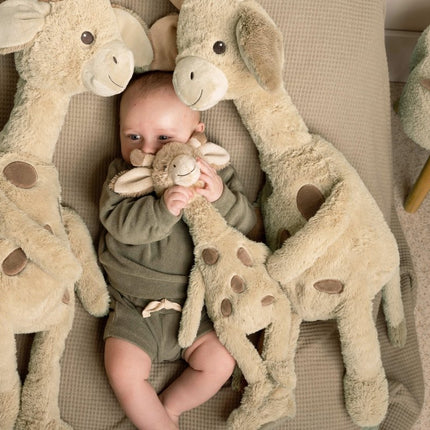 Giraffe Gus no. 1 - 22cm - Babywinkel - 8711811115372