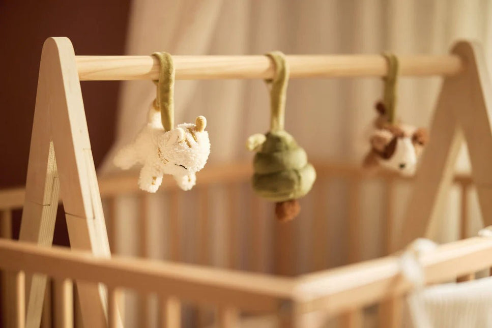 Jollein Babygym Speeltjes Tiny Park - Babywinkel - 8717329401365