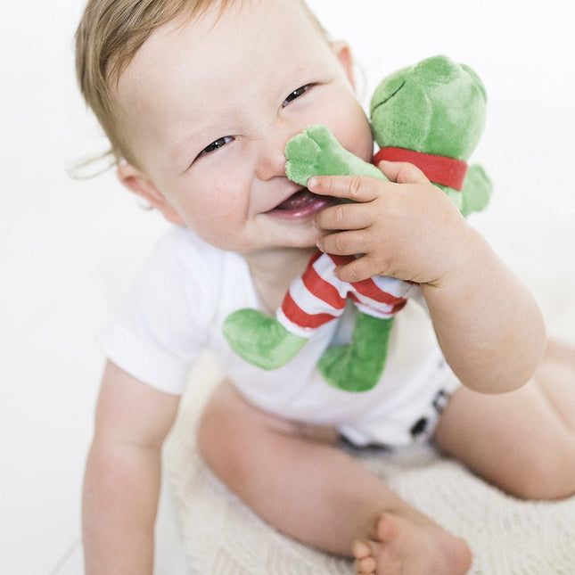 Kikker Knuffel 20cm koop je bij Babywinkel