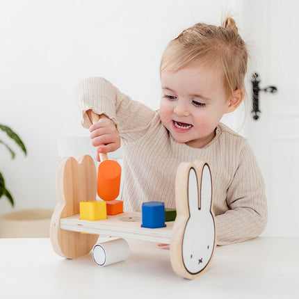 Nijntje Hamerbankje - Babywinkel - 8714274170643