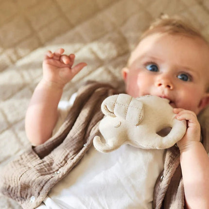 Rammelaar - Elephant Tales - Babywinkel - 8717329401204