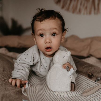 Snoozebaby Aankleedkussenhoes Happy Dressing Warm Brown 45x70cm - Snoozebaby - Babywinkel - 8719743856899