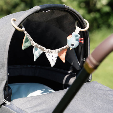 Wagenspanner Celebration Colour mix koop je bij Babywinkel